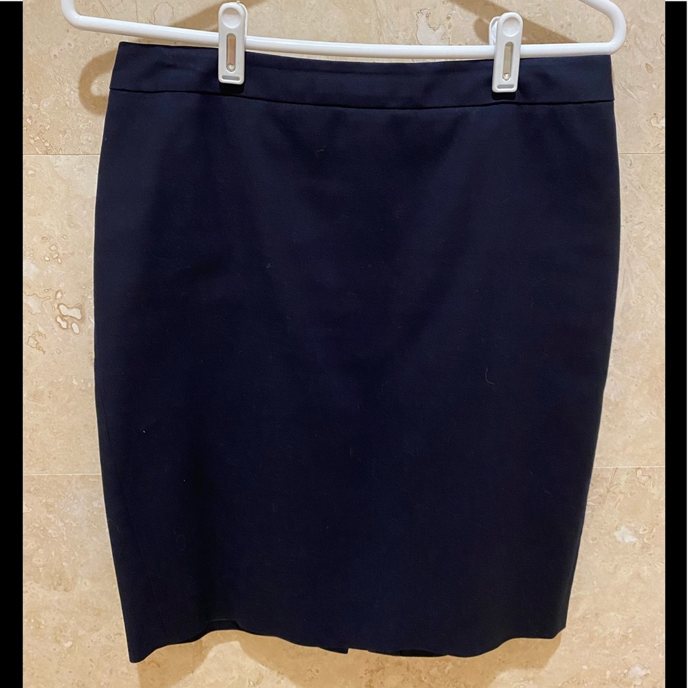 J. Crew Skirt